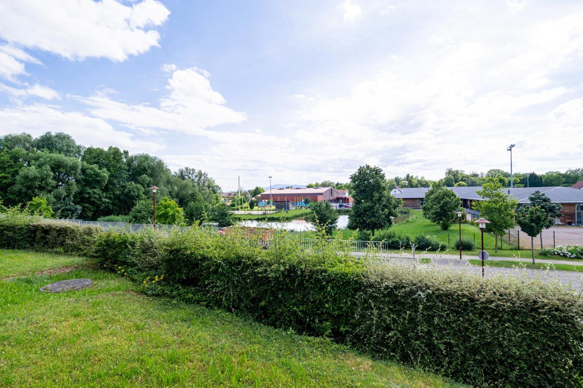 Ernolsheim-BrucheChez Virgil - Terrasse Vue Degagee, Parking Priveアパートメント エクステリア 写真